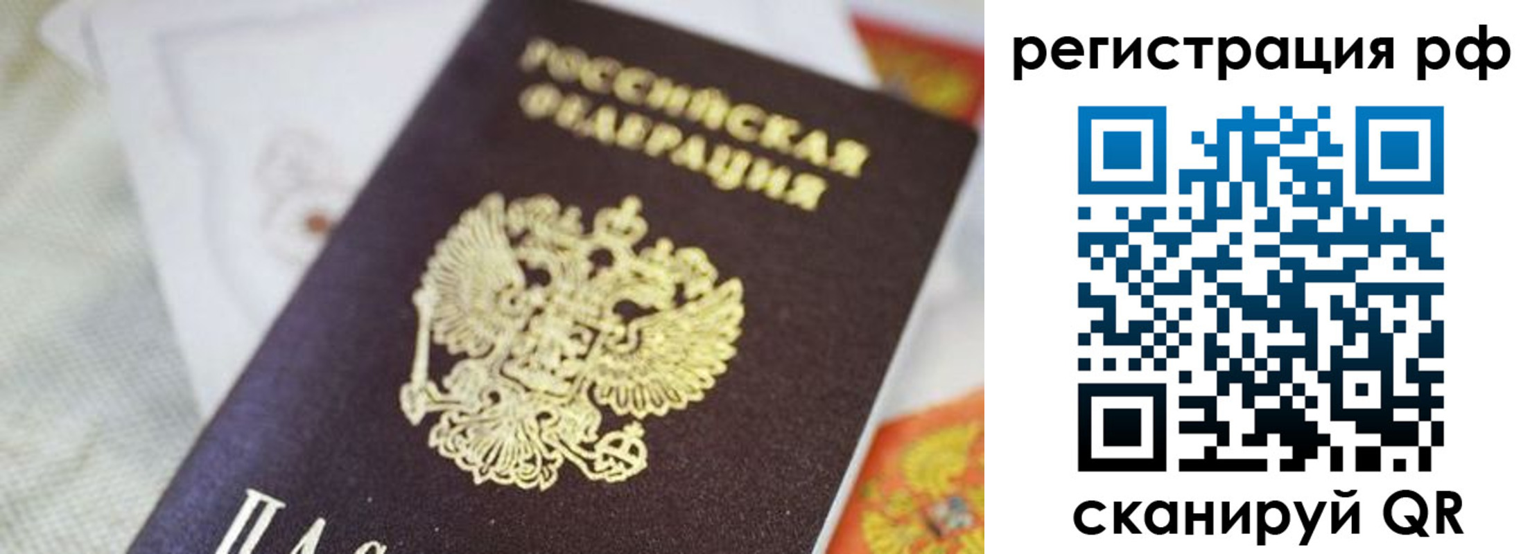 прописка гарантия в Ельне